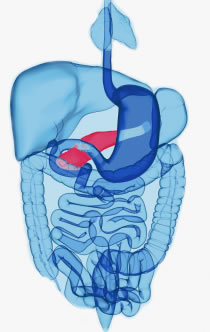 alcohol pancreas